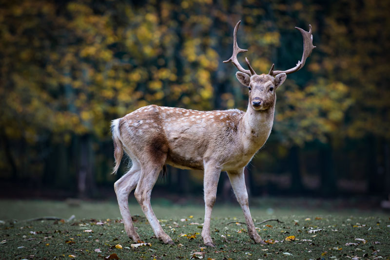 Freizeitpark Possen